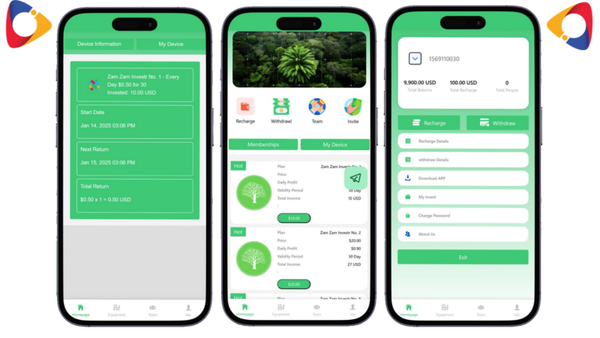 Hyip CASH TREE INVEST Php Script