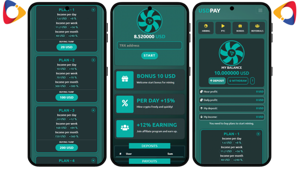 Hyip USDTPAY FastCore php Script